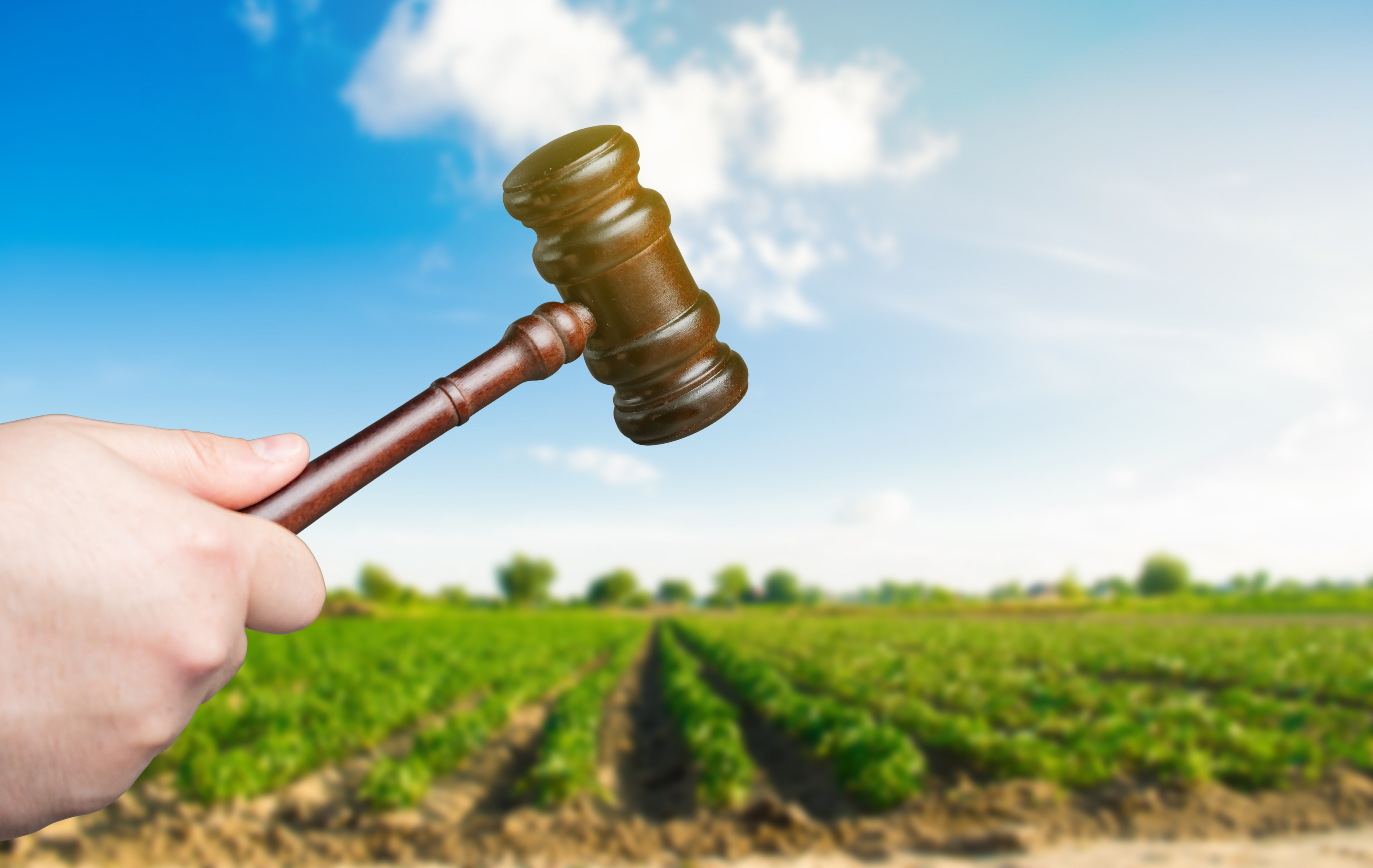 Science of Unpopular Agriculture Policy Brought into Question